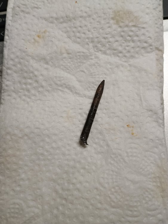 Nail.thumb.jpg.9c0001f7f90a9e5c8c92faaed53fee4f.jpg